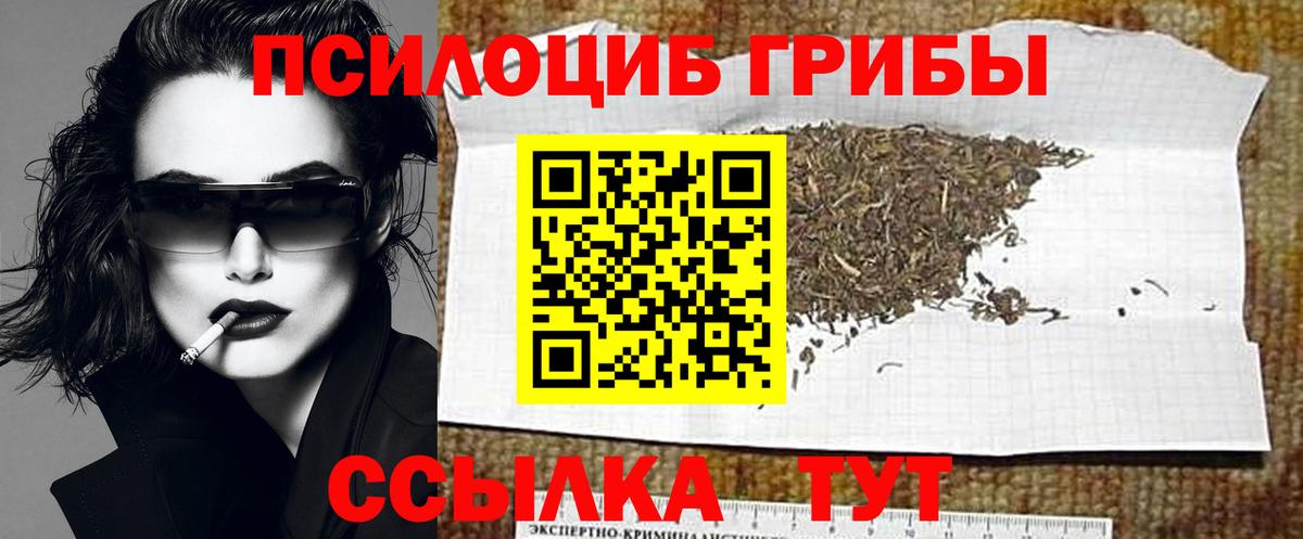 Псилоцибиновые грибы мухоморы  Вход с VPN  Медногорск 